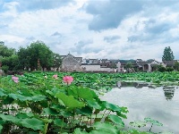 镜头 | 大美六月 绽放缤纷夏日