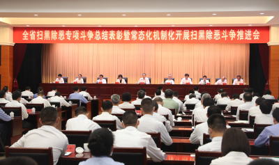 李锦斌：坚持常态化机制化推进扫黑除恶斗争 努力建设更高水平平安安徽法治安徽