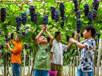 镜头 | 大美六月 绽放缤纷夏日