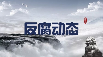 安徽省农村信用社联合社原副主任孙斌被依法逮捕