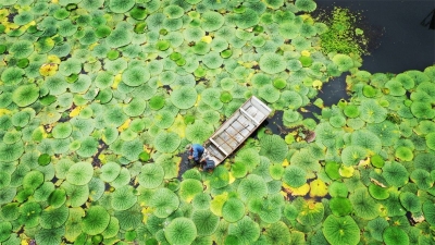 镜头 | 大美八月 夏秋交替景如画