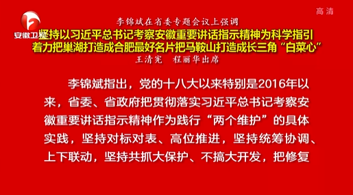 坚持以习近平总书记考察安徽重要讲话指示精神为科学指引 着力把巢湖打造成合肥最好名片把马鞍山打造成长三角“白菜心”