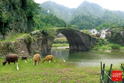 镜头 | 生态乡村美如画