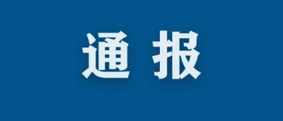 中央纪委国家监委公开通报十起违反中央八项规定精神典型问题
