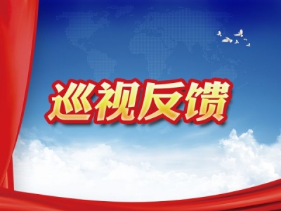 十九届中央第七轮巡视完成反馈