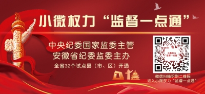 淮南田家庵：试点“监督一点通” 让小微权力阳光运行