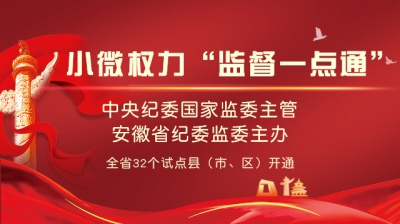 小微权力“监督一点通”使用指南