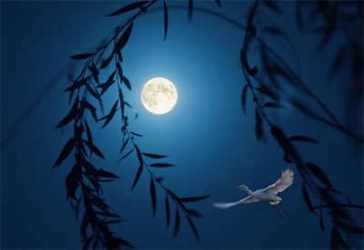 镜头 | 万里无云镜九州 最团圆夜是中秋