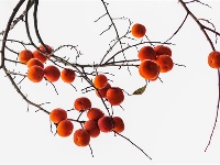镜头 | 大美十月 秋色醉人