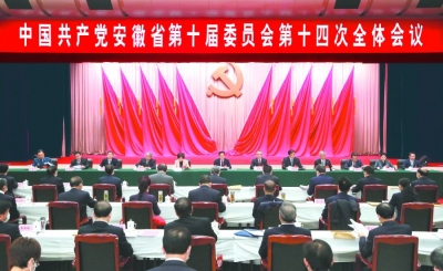 中国共产党安徽省第十届委员会第十四次全体会议决议