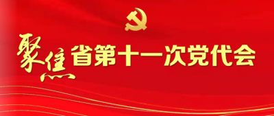 中国共产党安徽省第十一次代表大会关于省第十届纪律检查委员会工作报告的决议