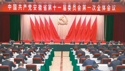 中国共产党安徽省第十一届委员会第一次全体会议决议