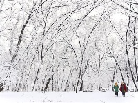 跟着镜头品诗词 | 冬之物语