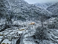 跟着镜头品诗词 | 冬之物语