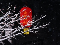 跟着镜头品诗词 | 冬之物语