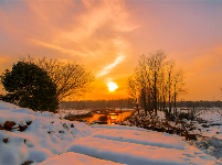 跟着镜头品诗词 | 冬之物语