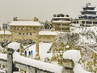 跟着镜头品诗词 | 冬之物语