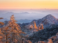 跟着镜头品诗词 | 冬之物语