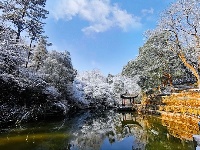 跟着镜头品诗词 | 冬之物语