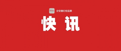 郑栅洁当选安徽省人大常委会主任