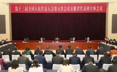 十三届全国人大五次会议安徽代表团举行全体会议