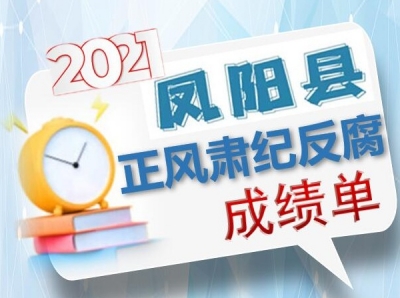 图解：2021年凤阳县正风肃纪反腐成绩单