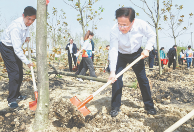 省暨合肥市党政军领导与干部群众义务植树