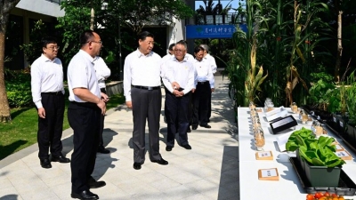 习近平在海南三亚市考察调研