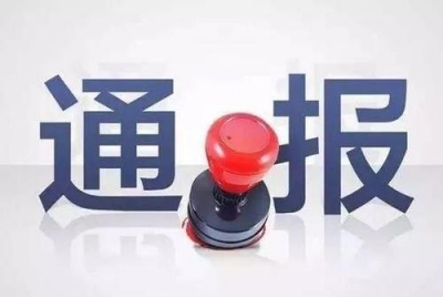 中央纪委国家监委公开通报十起违反中央八项规定精神典型问题