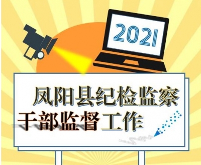 图解：2021年凤阳县纪检监察干部监督工作
