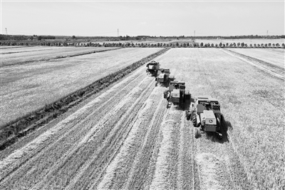 【中国纪检监察报】紧盯夏粮收储关键环节压紧压实责任 跟进监督确保颗粒归仓