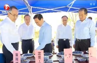 郑栅洁赴安庆市怀宁县调研