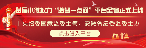 基层小微权力“监督一点通”平台全省正式上线