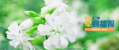 7月12日安徽省报告新冠肺炎疫情情况