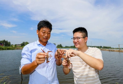 安徽铜陵：“指尖”上的纪检监督 人人都是监督员