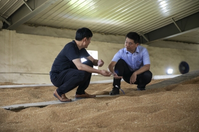 乡村振兴一线绽芳华