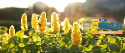 早间播报【2022年8月15日】