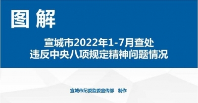 宣城：图解2022年1-7月查处违反中央八项规定问题情况
