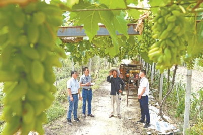 【安徽日报】激浊扬清正气盈