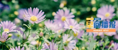 早间播报【2022年11月3日】