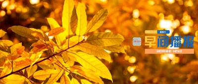 早间播报【2022年11月16日】