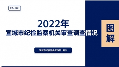 宣城：图解2022年全市纪检监察机关审查调查情况