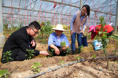 【中国纪检监察报】合肥市纪检监察机关聚焦基层“四小四大”问题 推动风腐同查同治