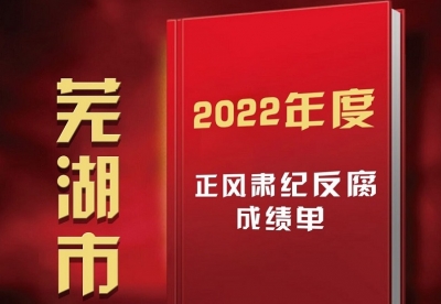 图解丨2022年度芜湖市正风肃纪反腐成绩单