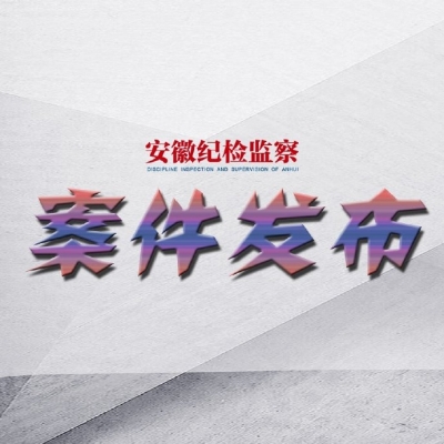 国投生物科技投资有限公司党委书记、董事长岳国君接受审查调查