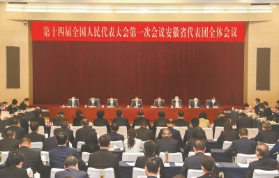 安徽代表团举行全体会议 审议政府工作报告