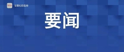 全国纪检监察干部队伍教育整顿对省（区、市）督导检查动员部署会议召开