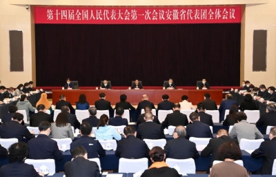 十四届全国人大一次会议安徽代表团举行全体会议