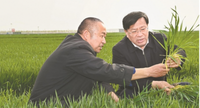 韩俊在宿州淮北调研时强调  发挥自身优势夯实产业基础 奋力推动皖北地区全面振兴