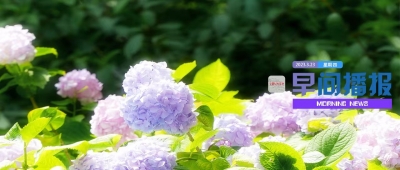 早间播报【2023年3月23日】